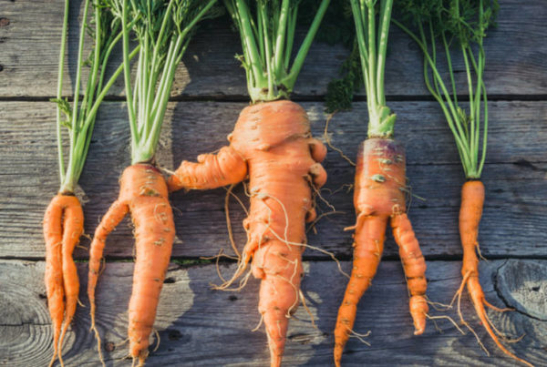 Can Consumers Change Their Minds About ‘Ugly’ Produce?