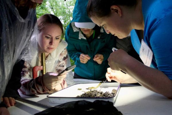 North Texas Ecology Course Creates A Team Of Master Naturalists