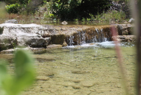 Hill Country Summer Camp Pressured To Find Alternatives To Discharging Waste Water In Hondo Creek
