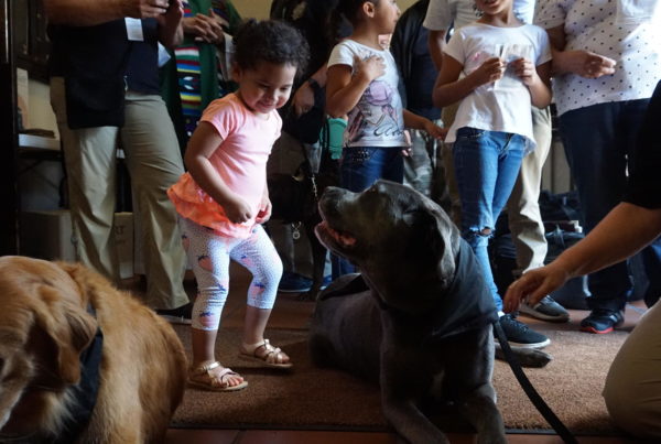 News Roundup: Therapy Dogs Stop In El Paso On Nationwide Journey To Help People Heal After Tragedy