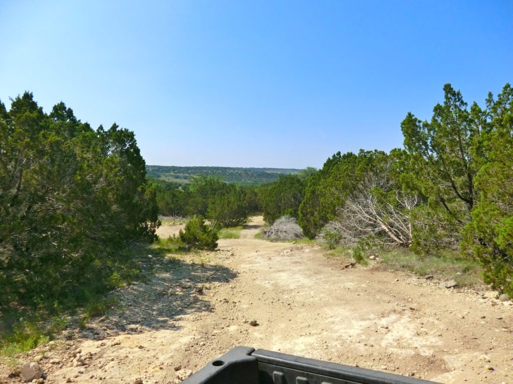 Take A Walk Around Marble Falls Texas Standard