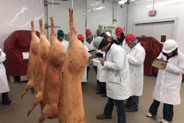 At Texas Tech, Hunger and Focus Fuel Dominance In Meat Judging