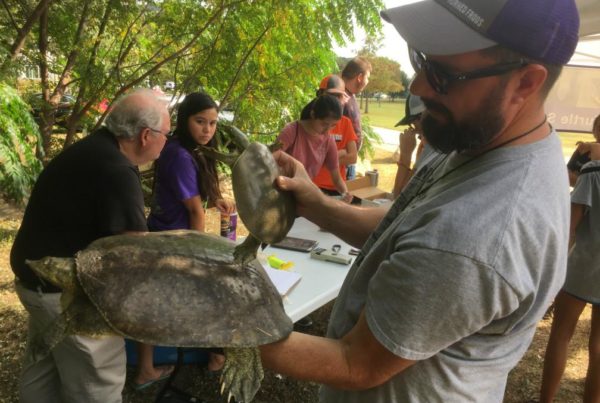 Hands-On Science Puts Students In The River With Sliders And Soft Shells