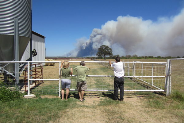 Texas Isn’t The Same As Australia, But Drought And Fire Are Still Risks