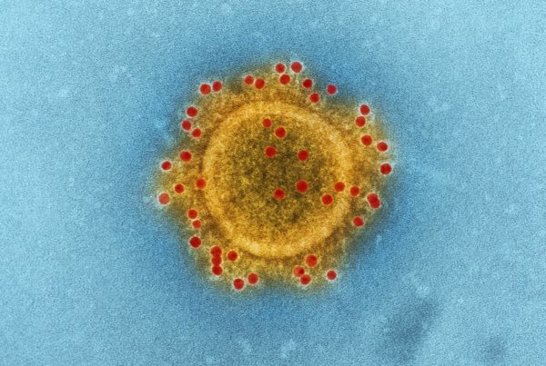 Inside The Scramble To Treat Coronavirus
