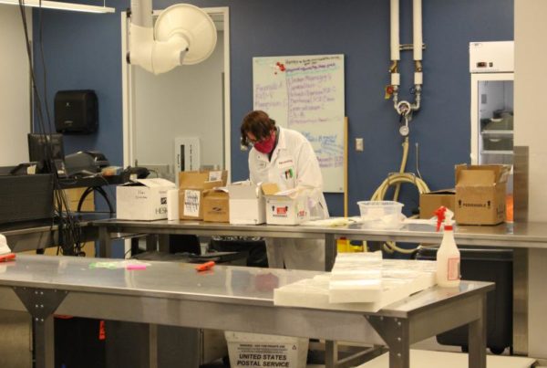 Texas A&M Veterinary Lab Hits Red Tape Trying To Do Human Coronavirus Testing