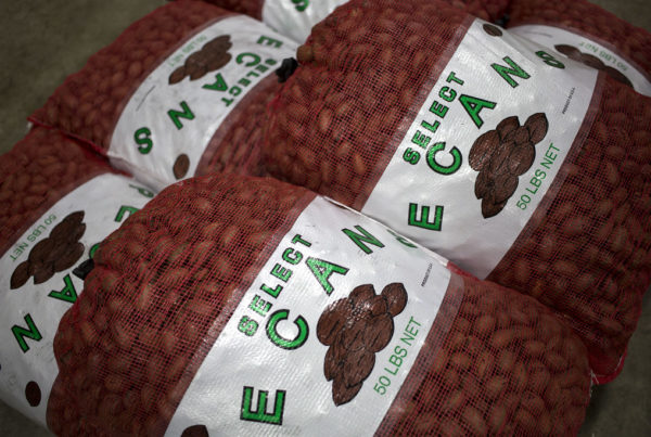 This Year’s Pecan Crop Is Strong, But Growers Are Having To Adjust To A Very Different Market
