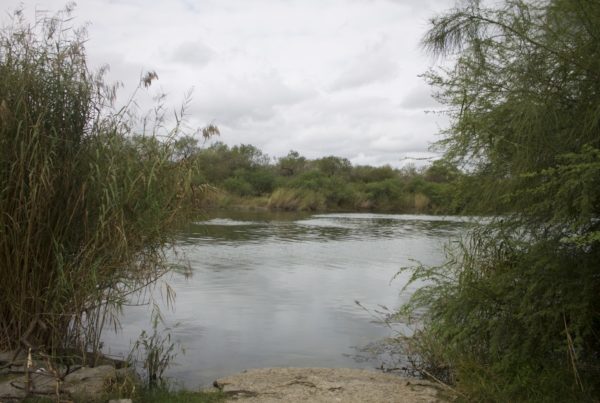 a view of the rio grande from one of its banks