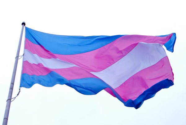 A pink, white and blue flag representing transgender pride