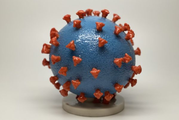 a 3D model of the coronavirus