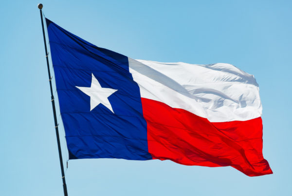 the texas flag