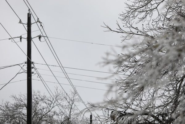 Two-Thirds Of Texans Surveyed Said They Lost Power During February’s Winter Storm. The Average Outage Was 42 Hours.