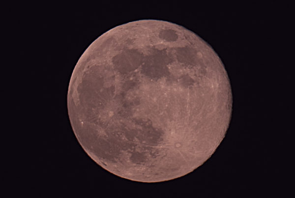 a close-up photo of a pink moon