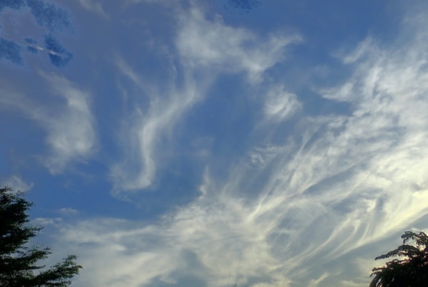 Seeding cirrus clouds`