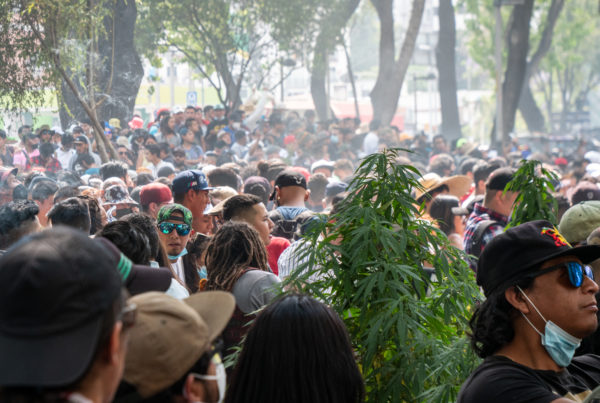 Weeks After Deadline, Mexico’s Congress Still Hasn’t Passed Law On Marijuana Legalization