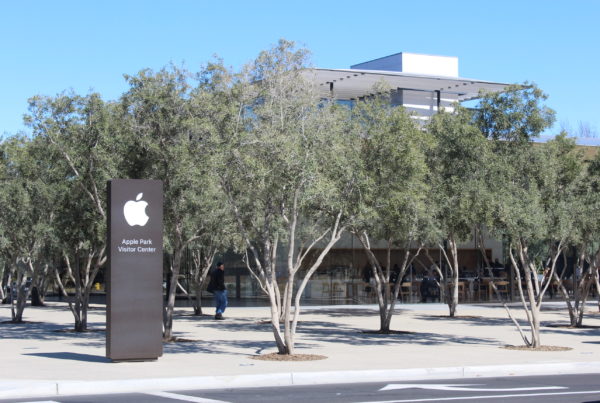a sign in front of trees says "Apple Park Visitors Center"