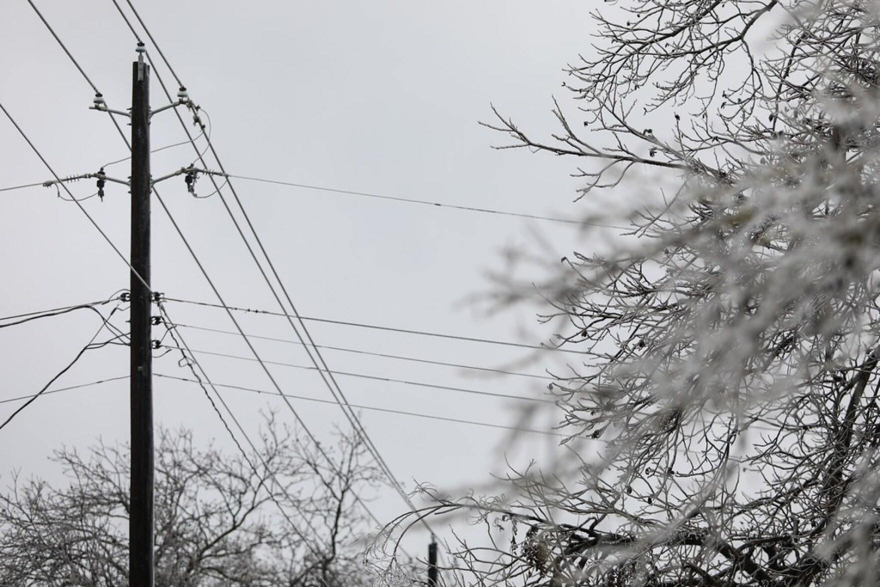 Texas affected by the most major power outages of any state in the U.S.