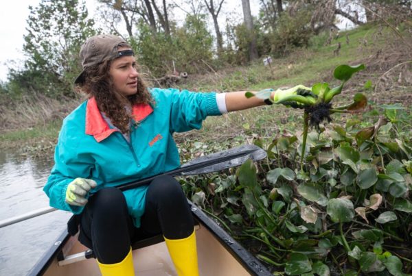 These Texas State students are turning invasive plants from the San Marcos River into menstrual pads
