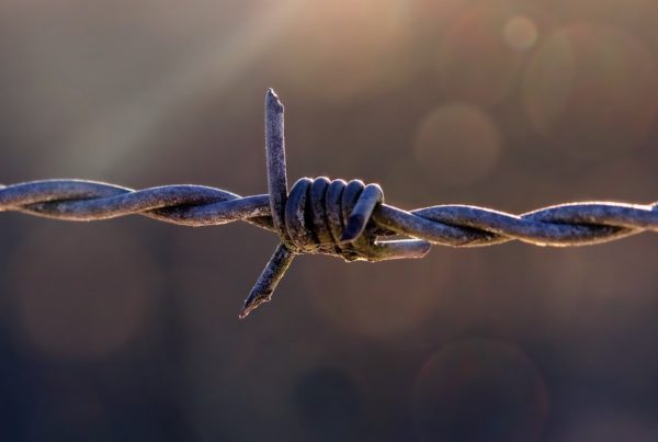 a strand of barbed wire in the sun