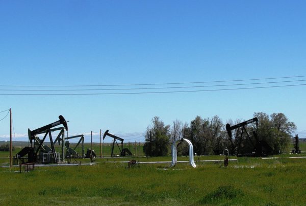 Wells and steam pipes on the Coalinga field
