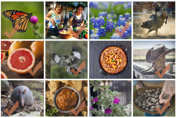 There’s a lot more than bluebonnets. Do you know these other official Texas symbols?