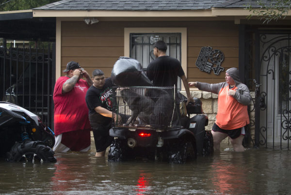 four members of a family standing in knee-deep water outside their home loading up a small vehicle with their dogs in a crate and a trash bag on top