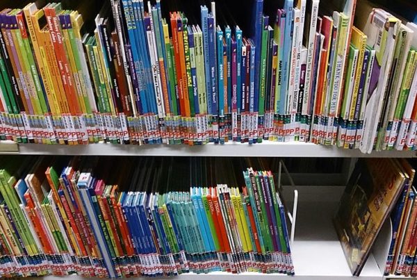 the colorful spines of children's books on two shelves in a library