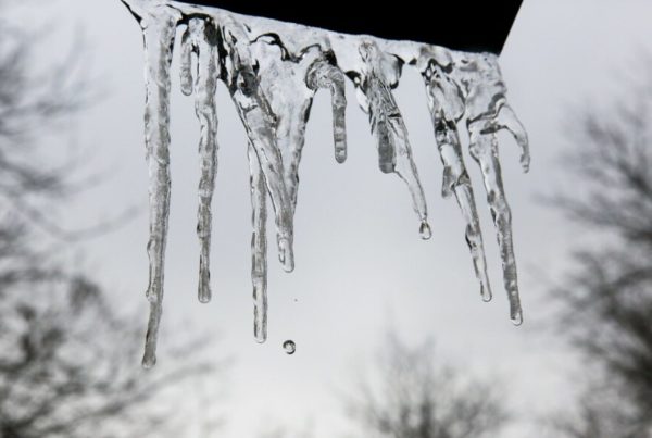 The freeze is here. Learn how to check on power outages, road conditions and the Texas grid.