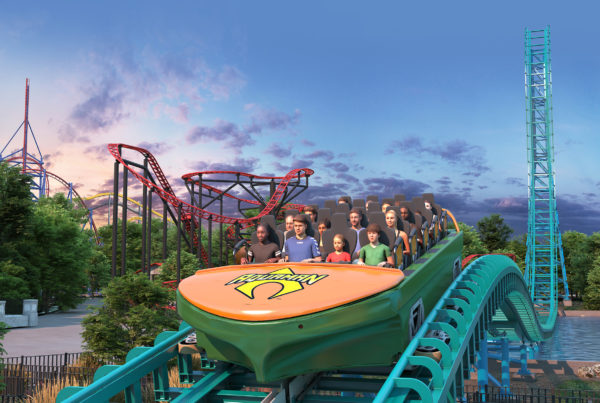 a wide view of a roller coaster's tracks and towers