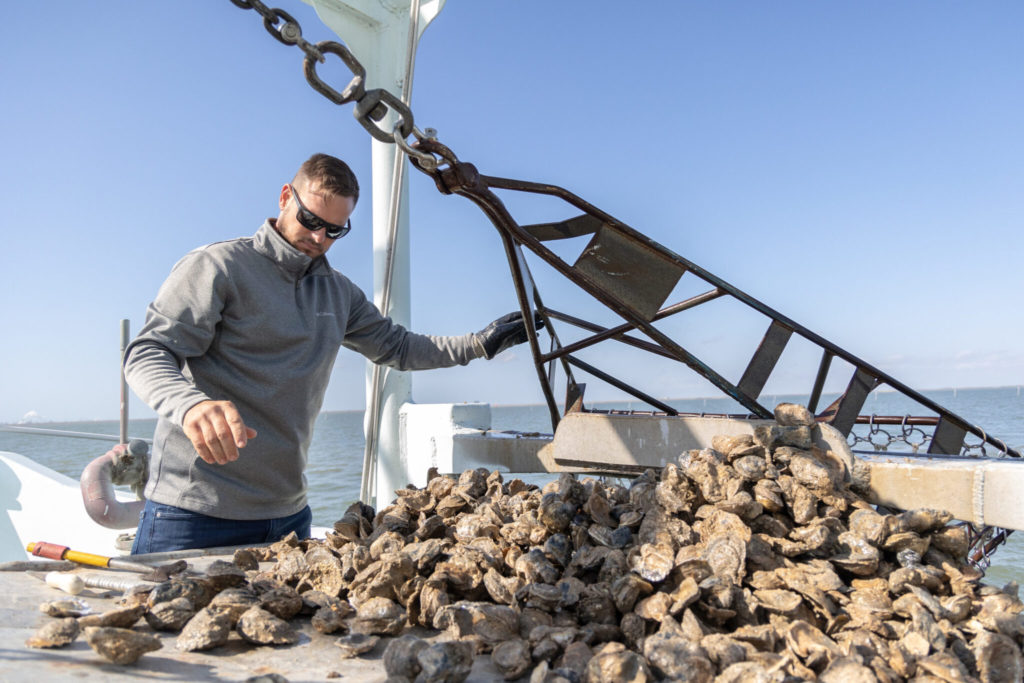 The Texas oyster industry is struggling as the state’s reefs close for