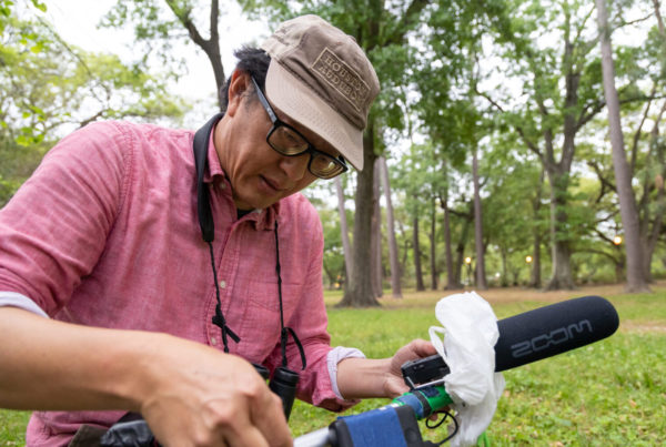 Houston birders are helping researchers uncover the secret night life of migratory birds