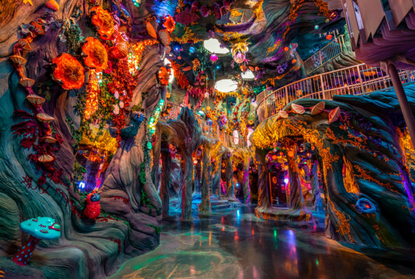 What you need to know about Meow Wolf, the psychedelic art experience coming to Texas