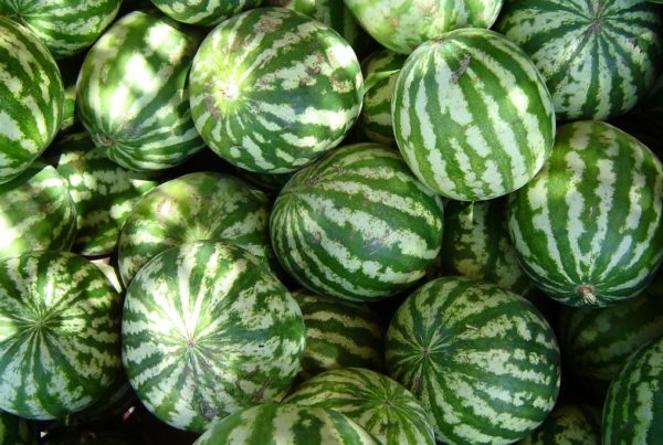 A close-up shot of many watermelons piled on top of each other