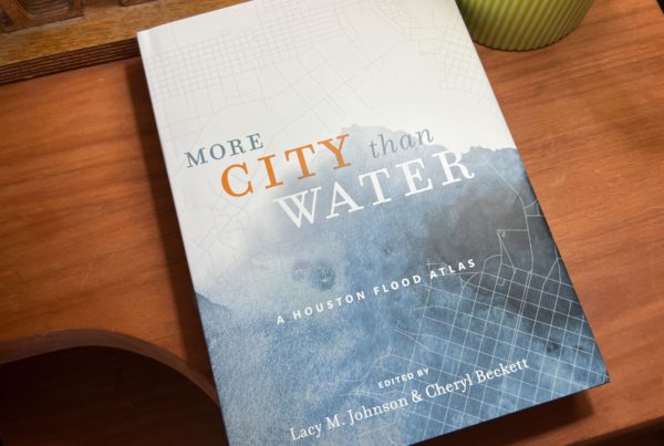 New book ‘More City Than Water’ maps out the different tolls flooding takes on communities in Houston
