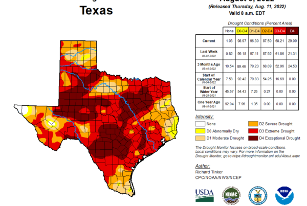 Statewide drought one of the worst Texas has seen, something ‘we only experience every few decades’