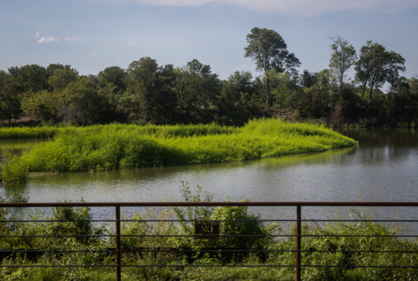 Cut off: East Texans fished and hunted here for generations – until a new owner built a fence