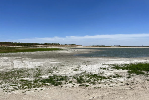 A large sandy and grassy area is seen before water.