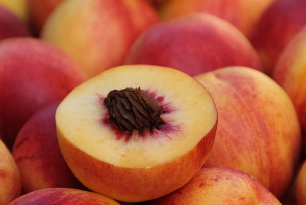 A close-up photo of a pile of ripe peaches. The topmost peach is cut in half, exposing the stone in its center.