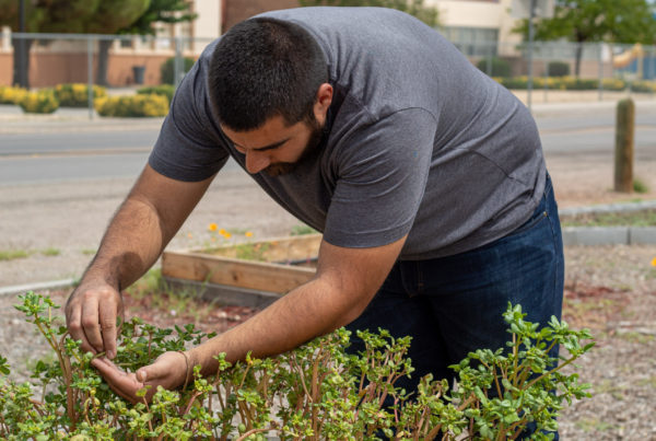 San Eli man experiments with growing food in the desert amid climate change