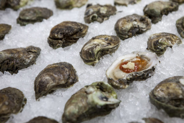 Recall presents yet another challenge for Texas oyster industry
