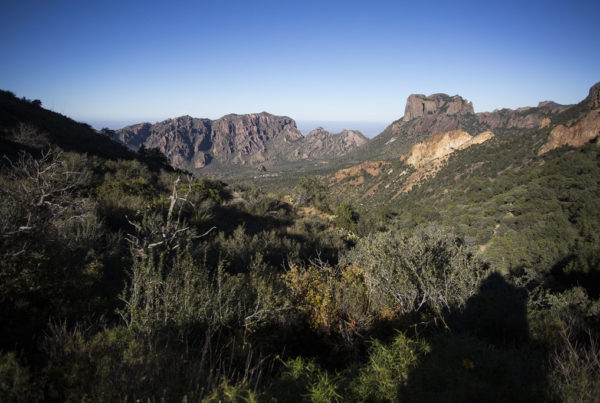 Big Bend National Park will be a step closer to adding new land near Terlingua in early 2023