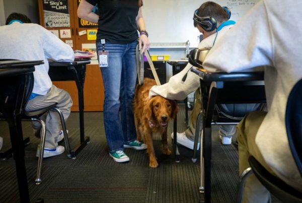 A golden retriever helps students in Central Texas learn how to manage their emotions. Her name is Luna.