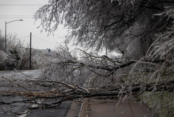 Hundreds of thousands without power statewide as ice storm brings more precipitation