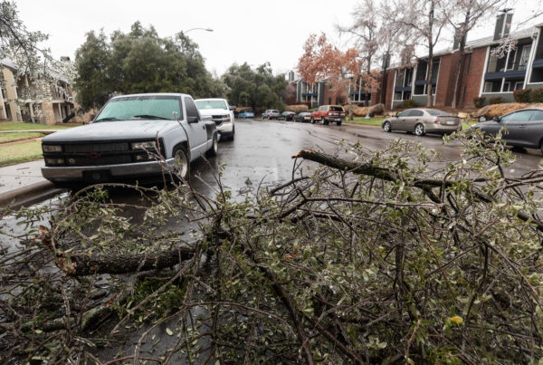 As Texas thaws out, here are some factors and scenarios to consider when making insurance claims