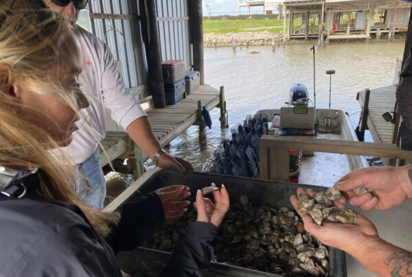 A woman and two men gather around a tank filled with oysters. They hold some of the oysters over the tank. They appear to be in a hangar on a dock, the entryway leading into the water seen in the background.
