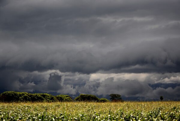 Cloud seeding initiative in drought-stricken Mexico aims to create rain