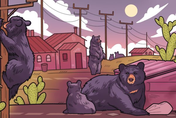 An illustration shows several black bears in a West Texas landscape featuring primarily dark pinks, purples and brown colors. There are pink houses before a purple, clouded sky. Bright green prickly pears dot the landscape. Four bears are in the foreground and two are in the distance. One bear climbs a telephone pole while a mother and her cub sniff out a big garbage can. Another stands upright near some houses.