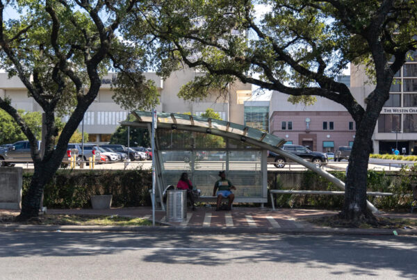 How METRO officials could plant a tree at every bus stop in Houston