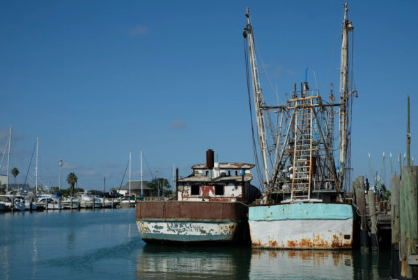 Texas shrimpers look to feds for help as imports threaten the Gulf shrimp industry