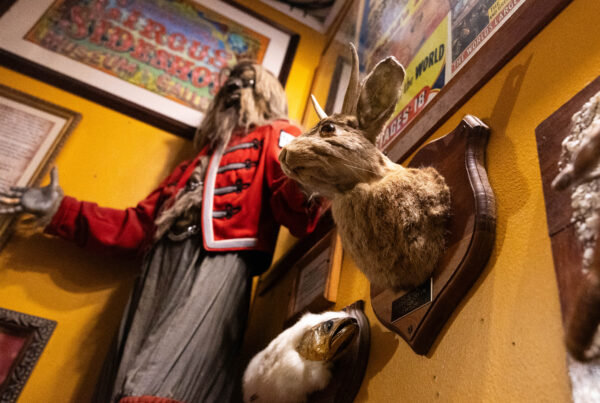 Cryptids, the macabre highlighted in Austin’s Museum of the Weird